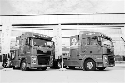 1667660621548722.jpg 6-2 图配文1 2.jpg