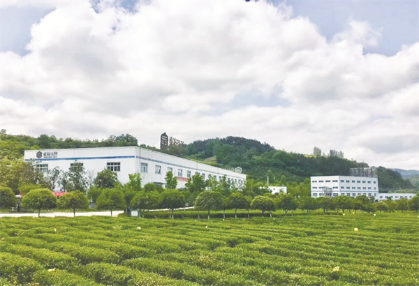 4-4 4，“東裕茗茶”获评.jpg