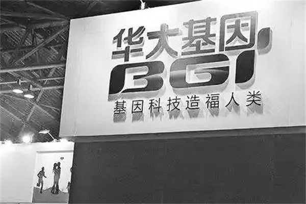 6-1 1 走进华大.jpg