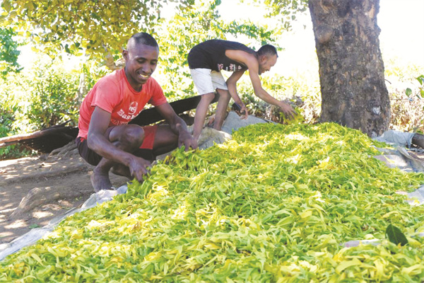 1-1 1 2 9月23日，在马达加斯.jpg