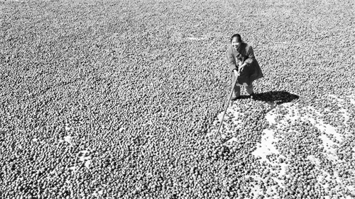 2-1 9 图片新闻.jpg