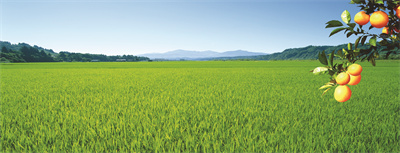 1668839695479218.jpg 乡村.jpg