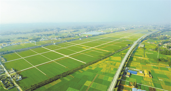 1669203090938317.jpg 5-1 配文2.jpg