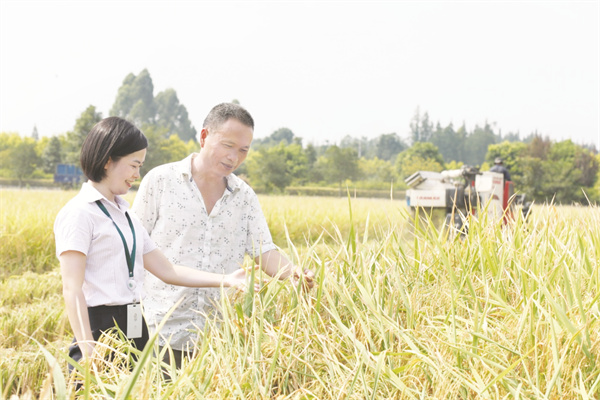 1-6 6、成都农商银行为成都市乡村振兴战略实施提供强有力的金融支撑。.jpg