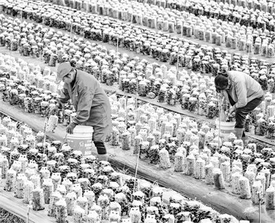 6-3 图配文4江西新余.jpg