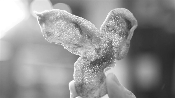 3-2 图配文2从出名到.jpg