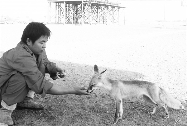 1672053698625953.jpg 7-1 4人狐奇缘.jpg