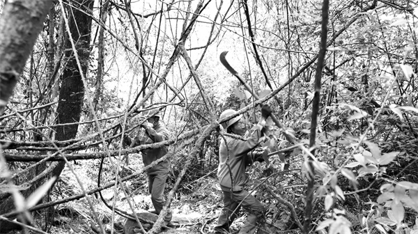 1672649070509150.jpg 2-1 1 1.jpg