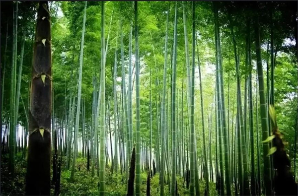 1672754803731915.jpg 3.jpg