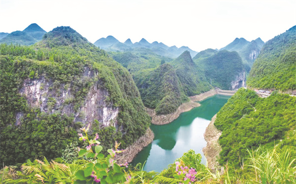 1673275189468926.jpg 1-1 1 1.jpg