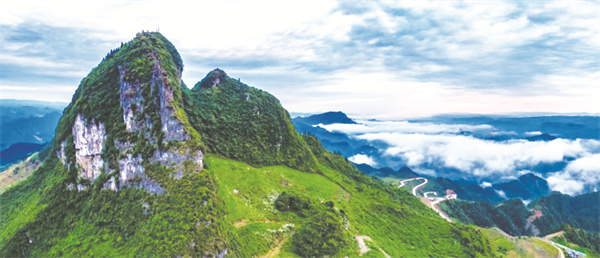 1673275196173146.jpg 1-2 1 2.jpg