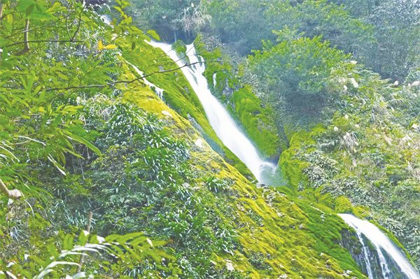 1673275218128446.jpg 1-5 1 5.jpg