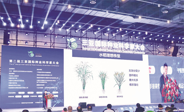 8-2 4 种业创新.jpg