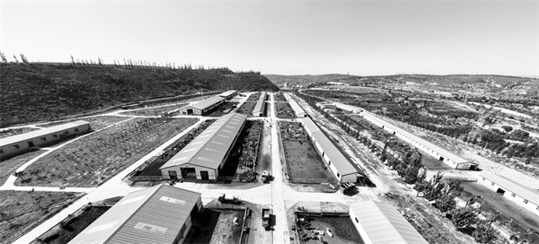 1674054726174503.jpg 2-3 3 中国神华哈尔乌素露天煤矿复垦区.jpg