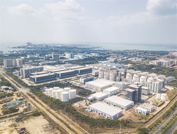 1-1 1 这是海南洋浦保.jpg