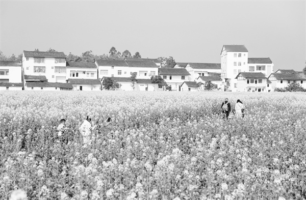 3-1 4（图片新闻）四川广.jpg