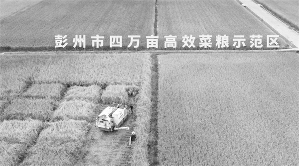 7-2 3彭州4万亩高效菜粮示范.jpg