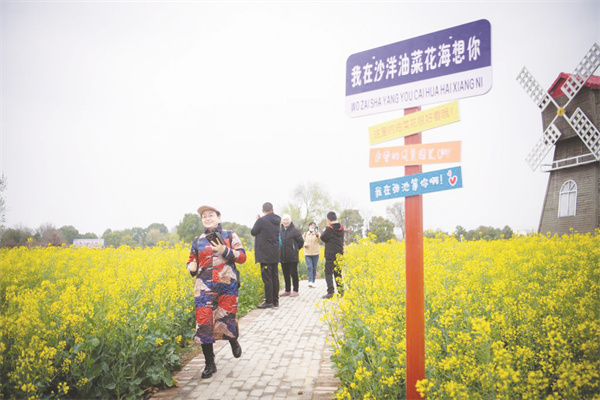 1681122619287254.jpg 4-2 1,游客在沙洋县油菜花.jpg
