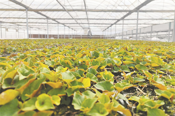 1681122675914532.jpg 4-3 2,位于湖北省当阳市两.jpg