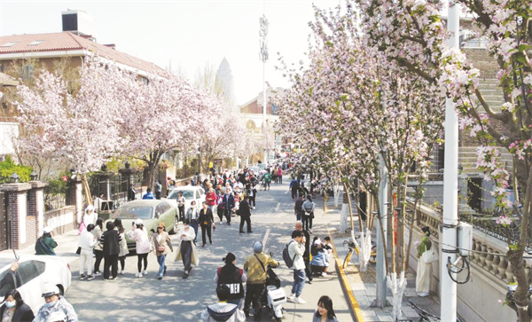 1681298425555711.jpg 4-2 2,游客在天津市五大道风景区大理道上赏花拍照。 赵子硕 摄.jpg