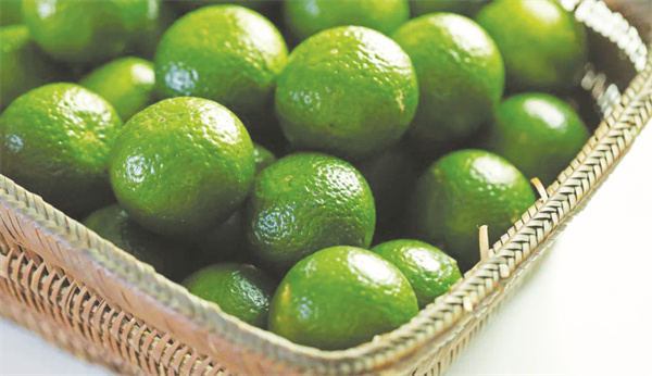 1-2 图配文1 2 广东新会.jpg