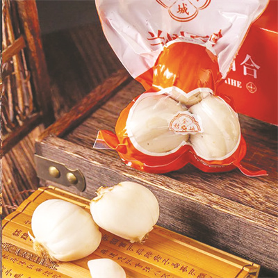 1-4 图配文3兰州百合.jpg