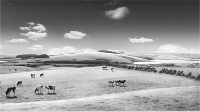 1682222923371941.jpg 2-1 图配文1蒙牛特仑苏.jpg