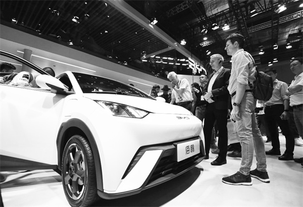 3-3 3 参观者在比亚迪展台上.jpg