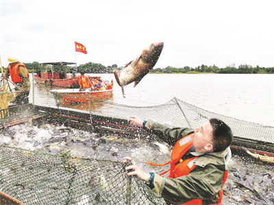 8-4 1 鱼好水更清.jpg