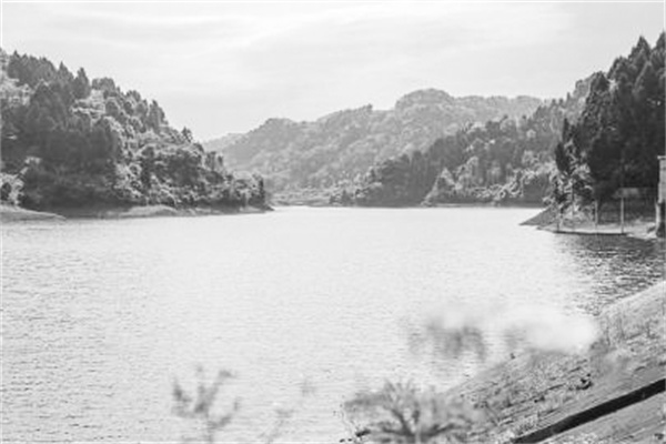 1683264197716531.jpg 3-3 图配文3老品牌蹚出“新路子”.jpg