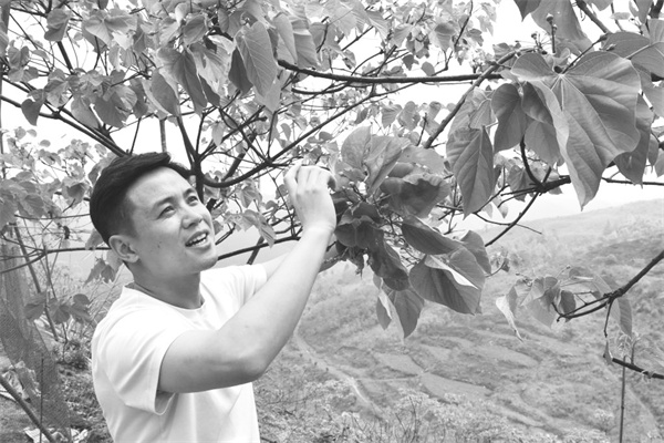 3-3 4，贵州独山县返乡创业.jpg