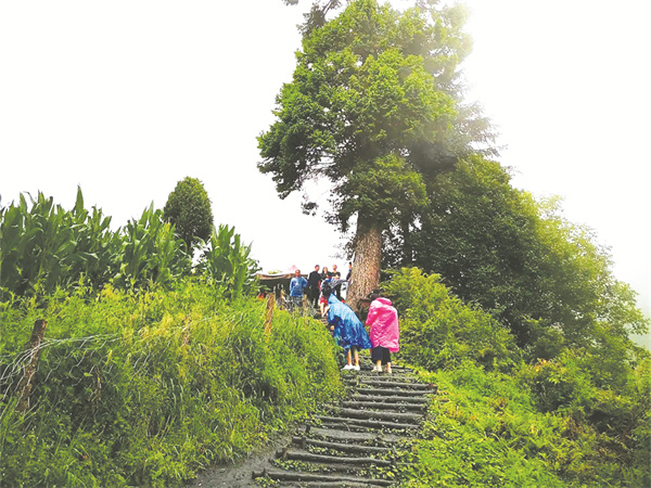 8-2 5听雨之境.jpg