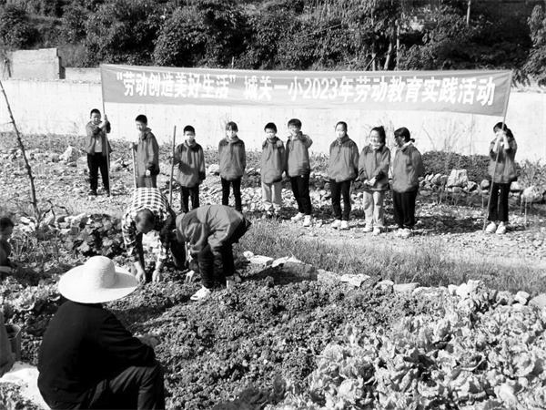 1684836960176544.jpg 7-1 4让劳动教育浸润孩子的成长.jpg