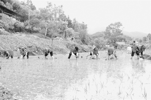 3-3 6 图片新闻.jpg