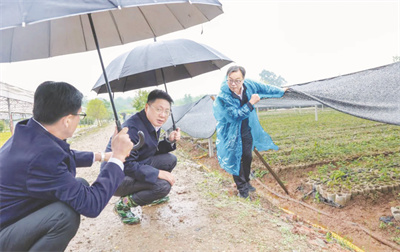 1-4 2 2 集团主管深入田间调查研究.jpg