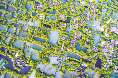 艾琳 西溪湿地秋韵【组照】+艾琳.jpg