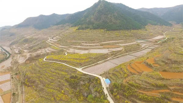 5-1 1 1壶关县南坪头坞村连翘产业园区.jpg