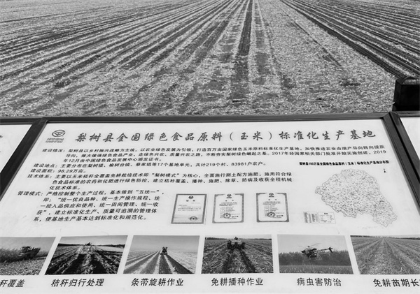 3-2 2 吉林省四平市梨树县.jpg