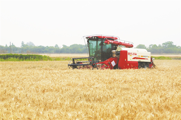 4-3 6 图片新闻 马鞍山.jpg