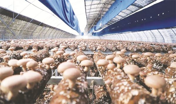 1-2 图配文2山东七河生物.jpg