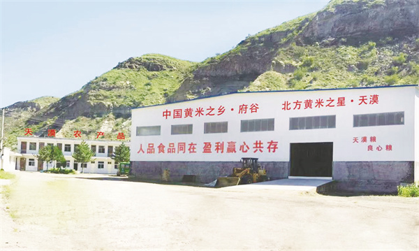 4-2 2 府谷县天漠农产品加工有.jpg