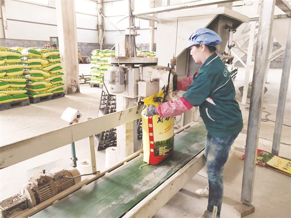 4-3 3 “府谷黄米”生产加工车间.jpg