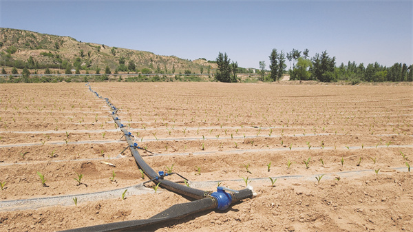 4-4 4 发展旱作节水农业.jpg