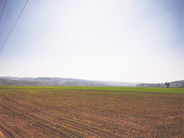 4-6 6 皇甫川高标准农田.jpg