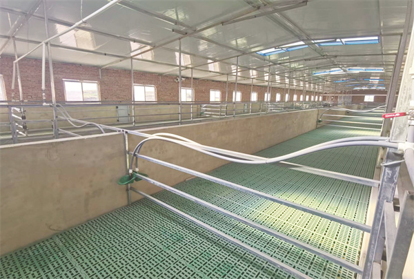 4-7 7 黄甫标准化千只规模养羊场.jpg