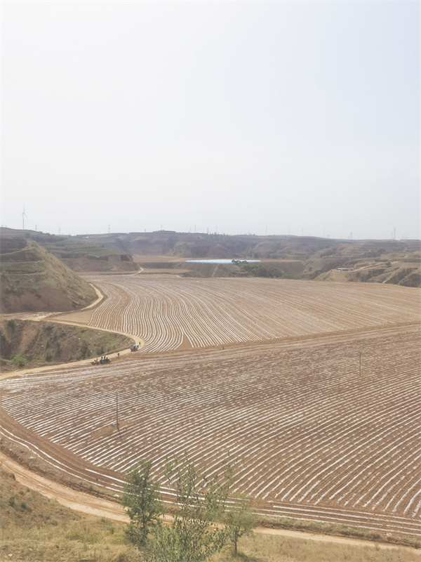 4-19 19 示范推广渗水可降解地膜.jpg