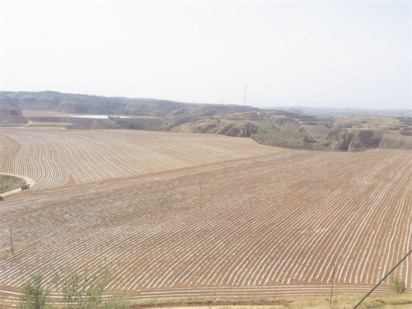 4-20 20 示范推广渗水可降解地膜.jpg