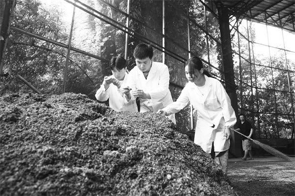 6-3 7（必发） 四川泸州.jpg