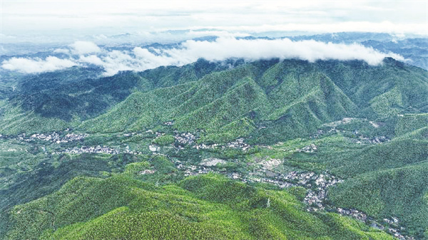 4-1 1 1,德清县莫干山镇仙潭村（无人机照片）。.jpg