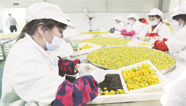 4-5 4,江西遂川：融合优势产业带动农民增收.jpg